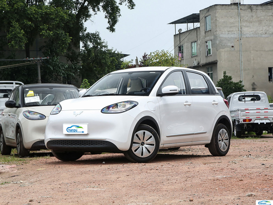 2024 왈링 빙고 203km 에너지 차량을 위한 전기 EV 승용차