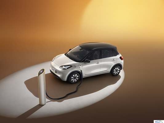 2024 왈링 빙고 203km 에너지 차량을 위한 전기 EV 승용차