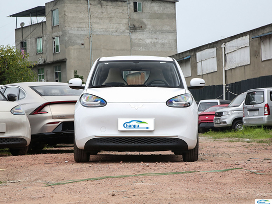 2024 왈링 빙고 203km 에너지 차량을 위한 전기 EV 승용차