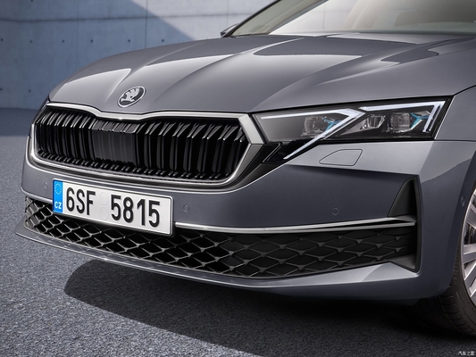2024 스코다 오크타비아 프로 TSI280 1.5L 가솔린 세단 ESC 및 정상 속력 제어