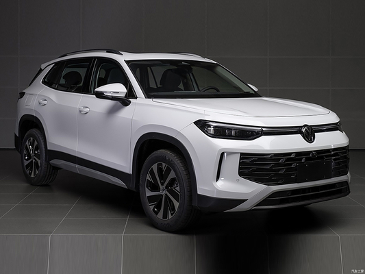 2024 TanYue Tayron 5석 가솔린 SUV 가솔린 자동차 2.0T 1.4T 1.5T 폭스바겐 자동차