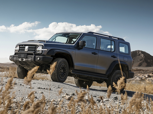 2024년 그레이트 월 탱크 300 강력한 오프로드 SUV