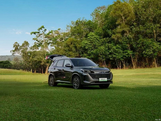 에너지 차량 2024 명예 SUV 성능과 가격의 완벽한 조합