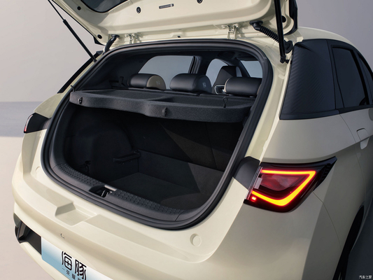 CGC BYD 돌핀 2024 5 문 5 좌석 해치백 EV 전기 자동차 SUV 세단 및 내구성