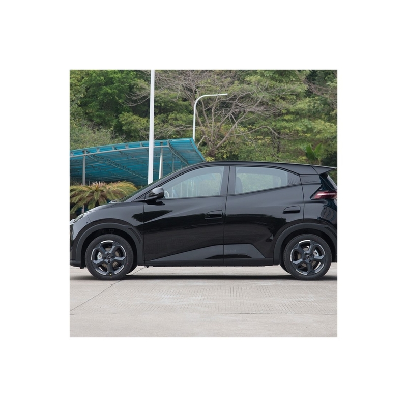 시어그 -2024 글로리 버전 305Km 비행 버전 전기 자동차
